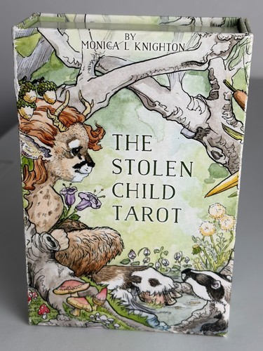 Tarocchi the stolen - stolen, child